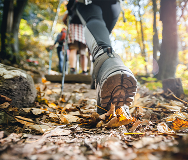 Several people hiking through a forest with autumn leaves